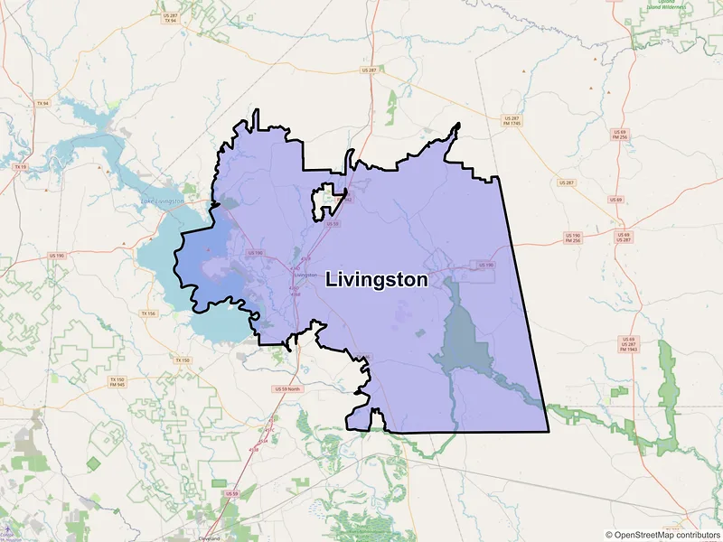Map of Livingston, Texas and ZIP codes