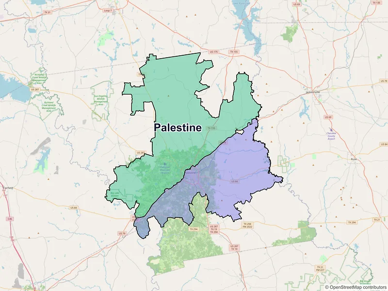 Map of Palestine, Texas and ZIP codes