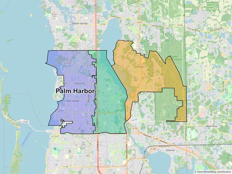 Map of Palm Harbor, Florida and ZIP codes
