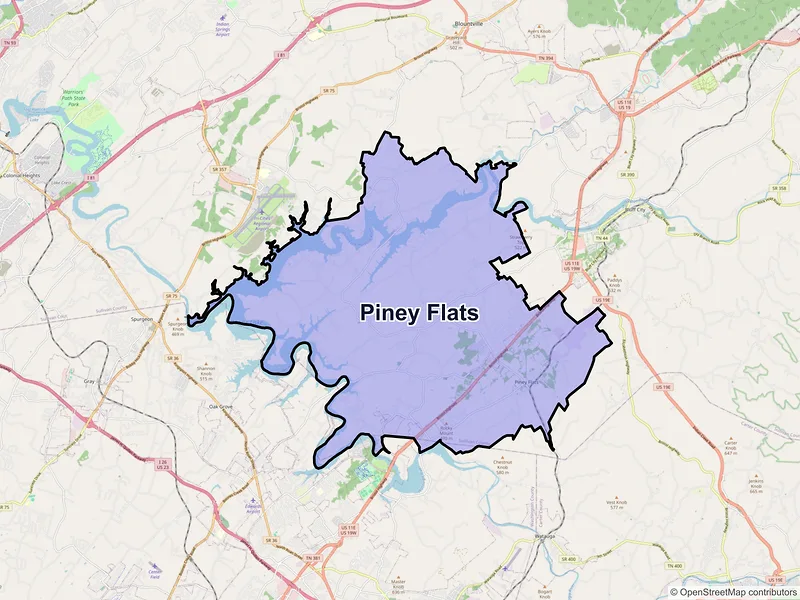 Map of Piney Flats, Tennessee and ZIP codes