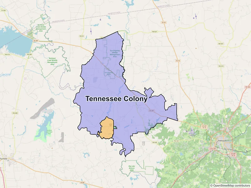 Map of Tennessee Colony, Texas and ZIP codes
