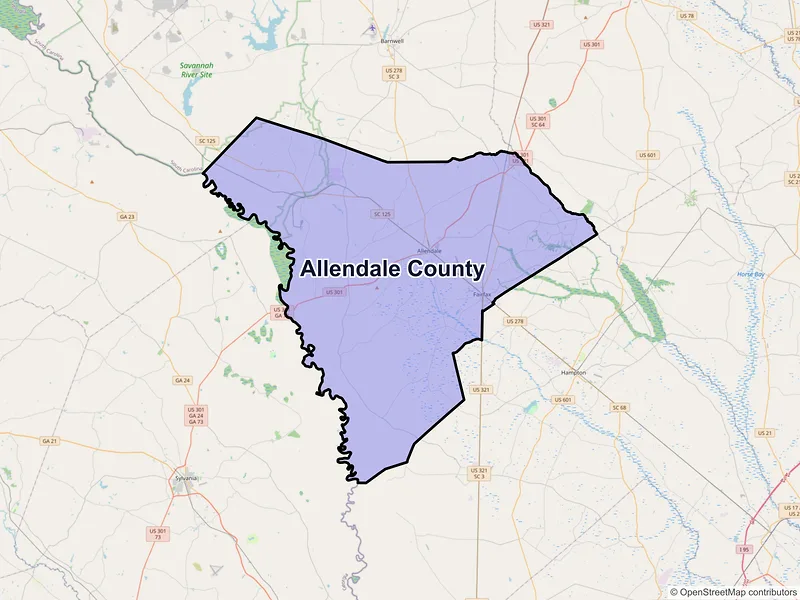 Map of Allendale County, South Carolina and ZIP codes