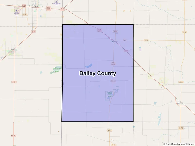 Map of Bailey County, Texas and ZIP codes