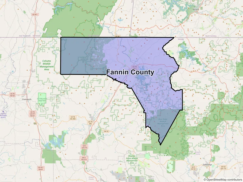 Map of Fannin County, Georgia and ZIP codes
