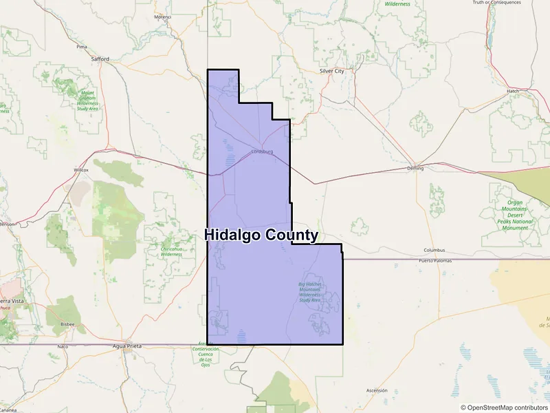 Map of Hidalgo County, New Mexico and ZIP codes