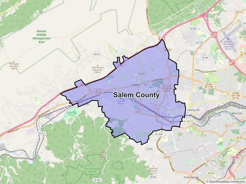 Map of Salem County, Virginia and ZIP codes