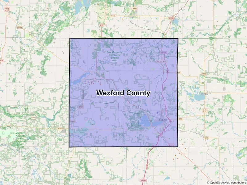 Map of Wexford County, Michigan and ZIP codes