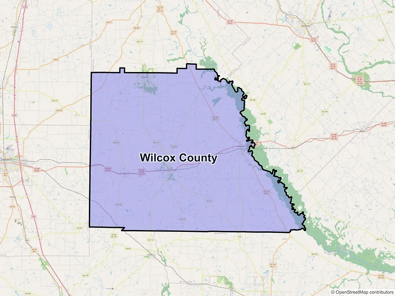 Map of Wilcox County, Georgia and ZIP codes