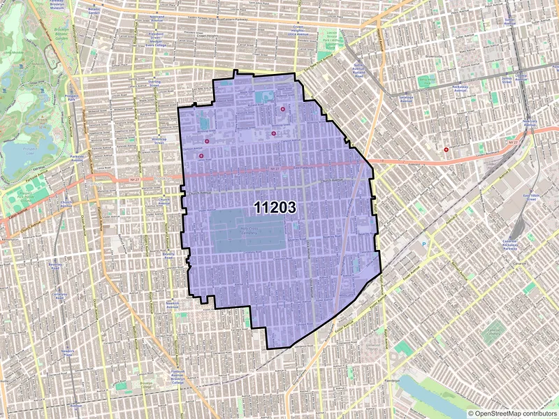 Map of ZIP Code 11203 — Brooklyn, NY