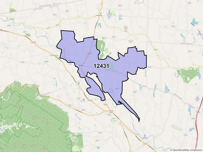 Map of Freehold, New York and ZIP codes