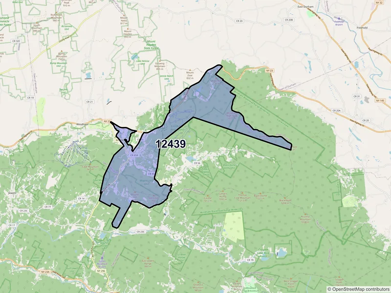 Map of ZIP Code 12439 — Hensonville, NY