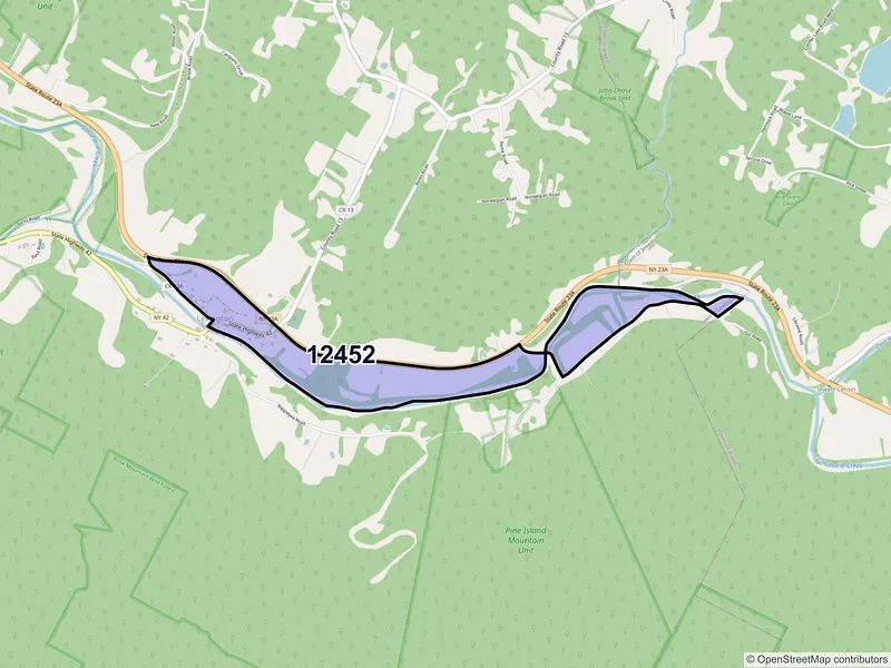 Map of Lexington, New York and ZIP codes