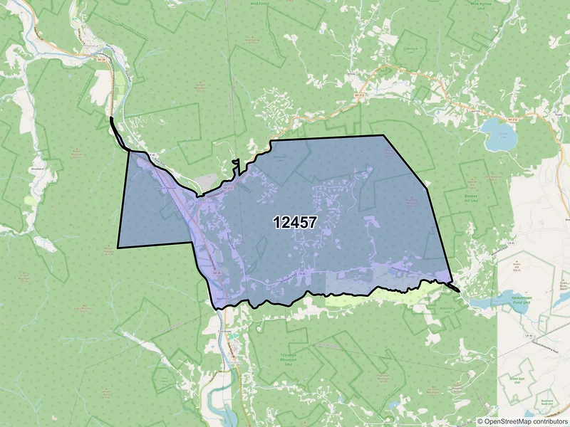 Map of Mount Tremper, New York and ZIP codes