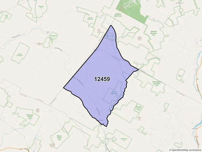 Map of New Kingston, New York and ZIP codes