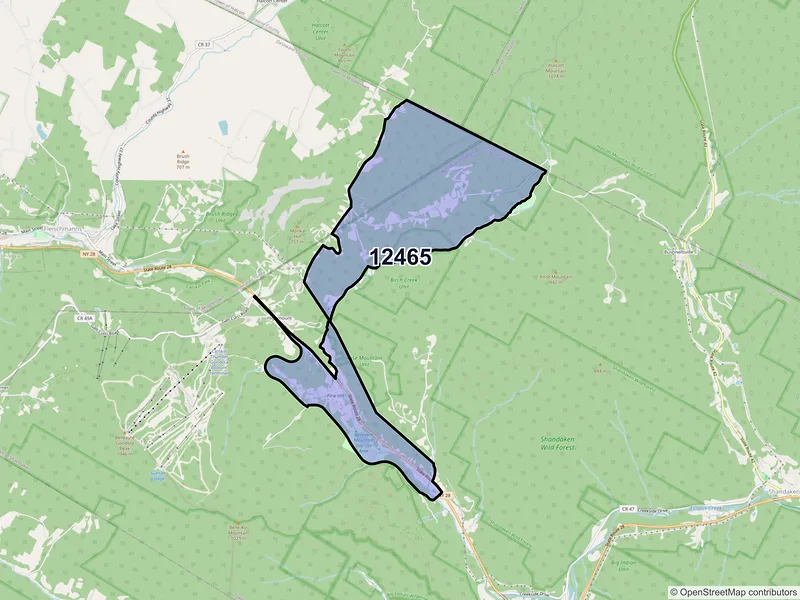 Map of ZIP Code 12465 — Pine Hill, NY