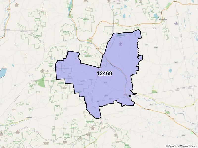 Map of ZIP Code 12469 — Preston Hollow, NY