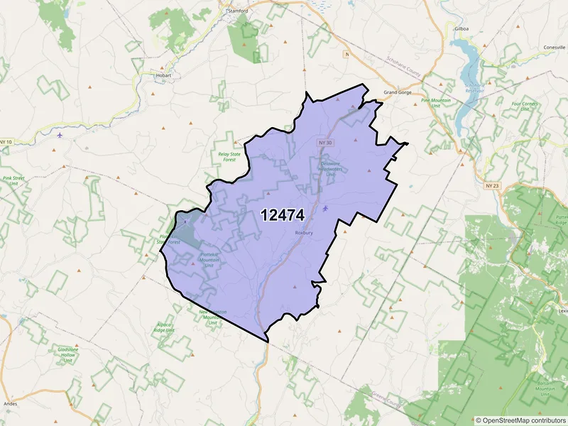 Map of Roxbury, New York and ZIP codes