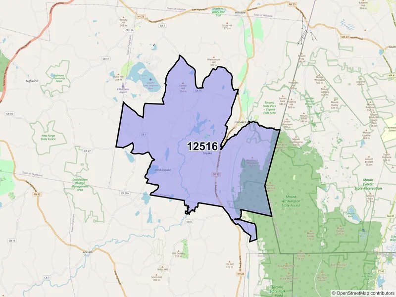 Map of Copake, New York and ZIP codes