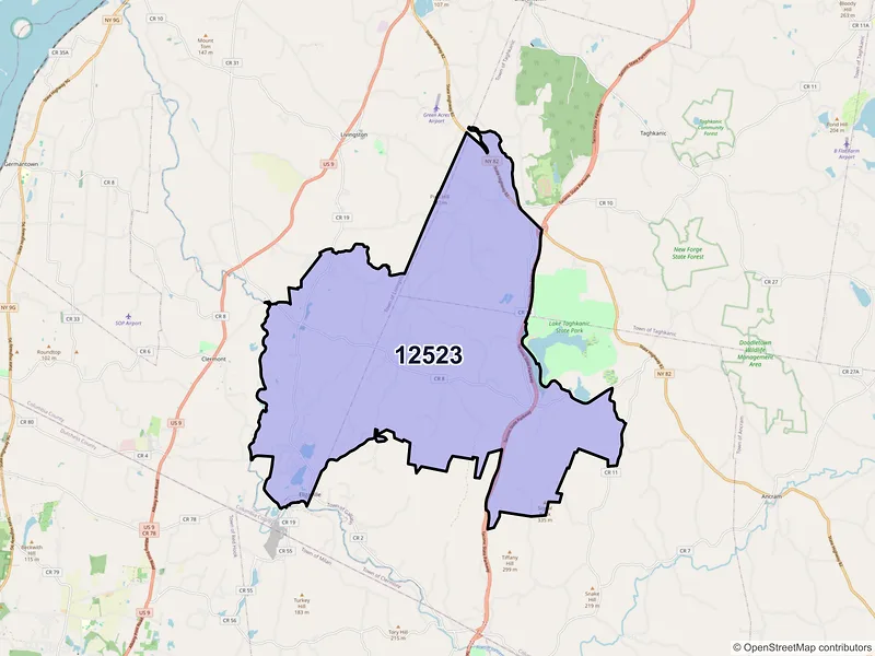 Map of Elizaville, New York and ZIP codes