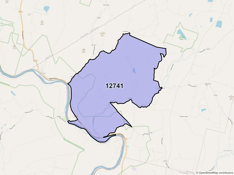 Map of Hankins, New York and ZIP codes