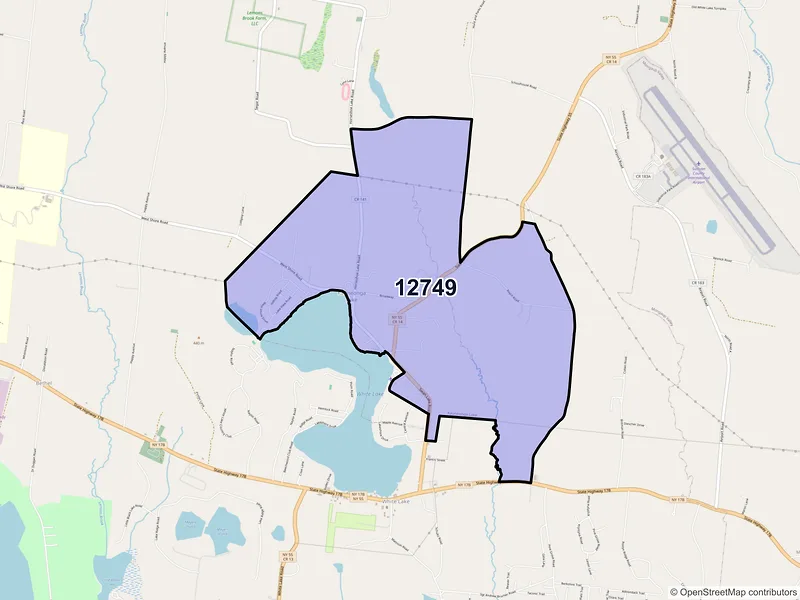 Map of Kauneonga Lake, New York and ZIP codes