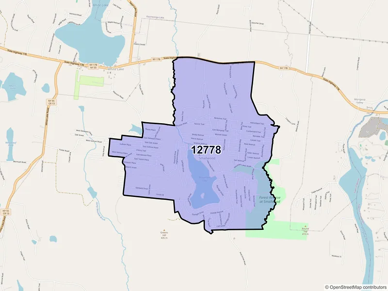 Map of Smallwood, New York and ZIP codes