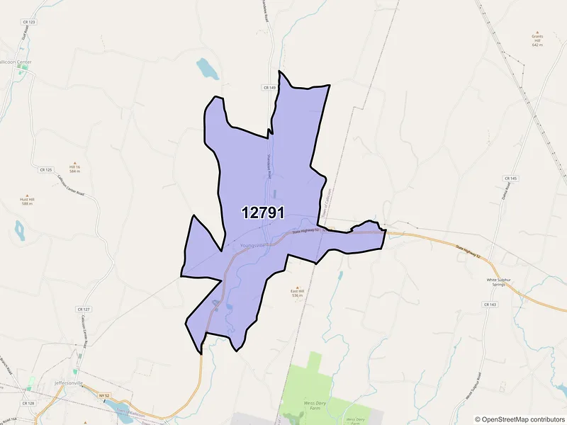 Map of Youngsville, New York and ZIP codes