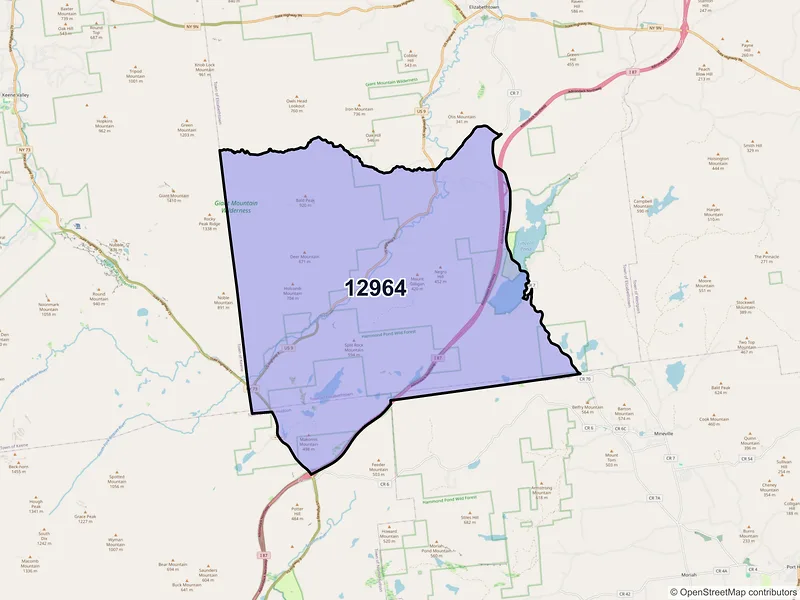 Map of New Russia, New York and ZIP codes
