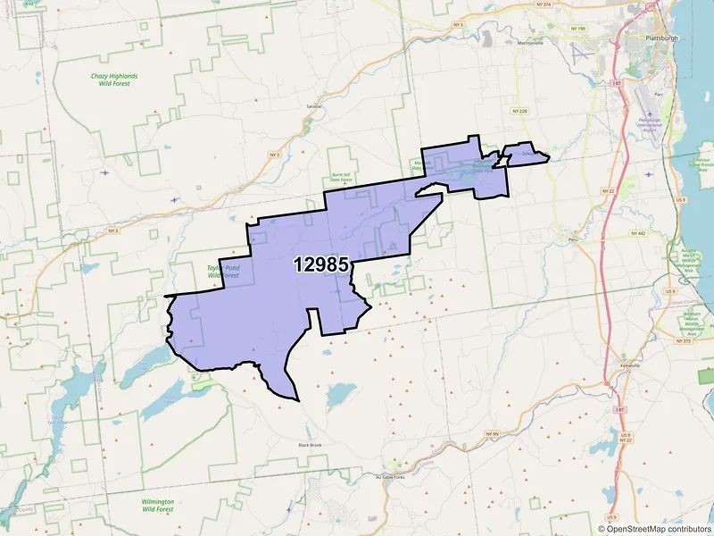 Map of ZIP Code 12985 — Schuyler Falls, NY