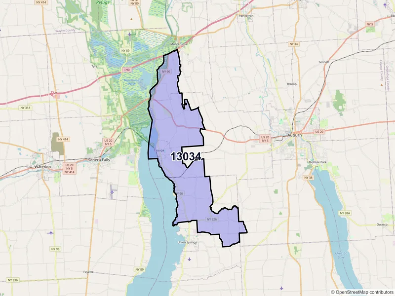 Map of Cayuga, New York and ZIP codes
