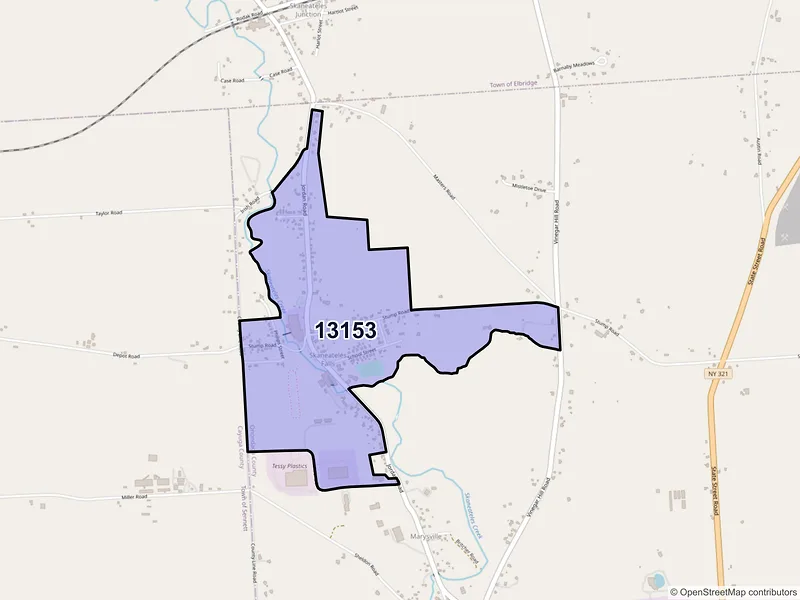 Map of Skaneateles Falls, New York and ZIP codes