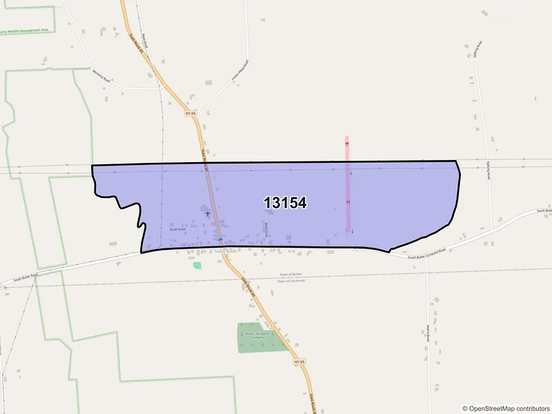 Map of South Butler, New York and ZIP codes