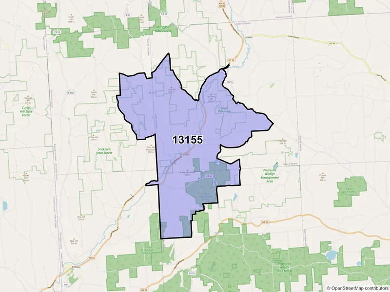 Map of ZIP Code 13155 — South Otselic, NY