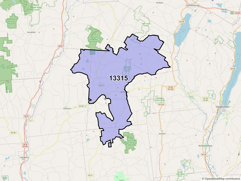 Map of Burlington Flats, New York and ZIP codes