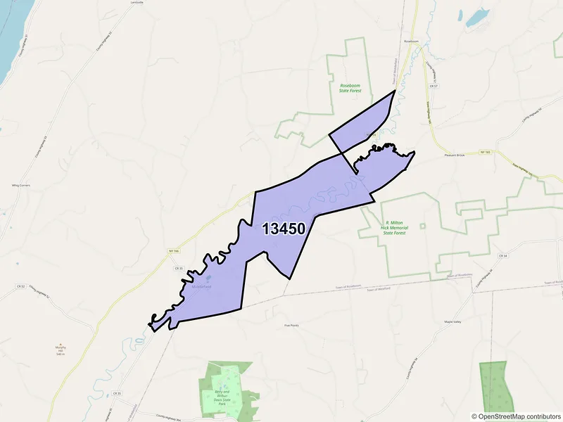 Map of Roseboom, New York and ZIP codes