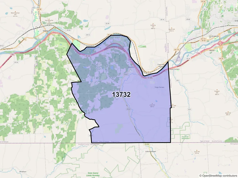 Map of ZIP Code 13732 — Apalachin, NY