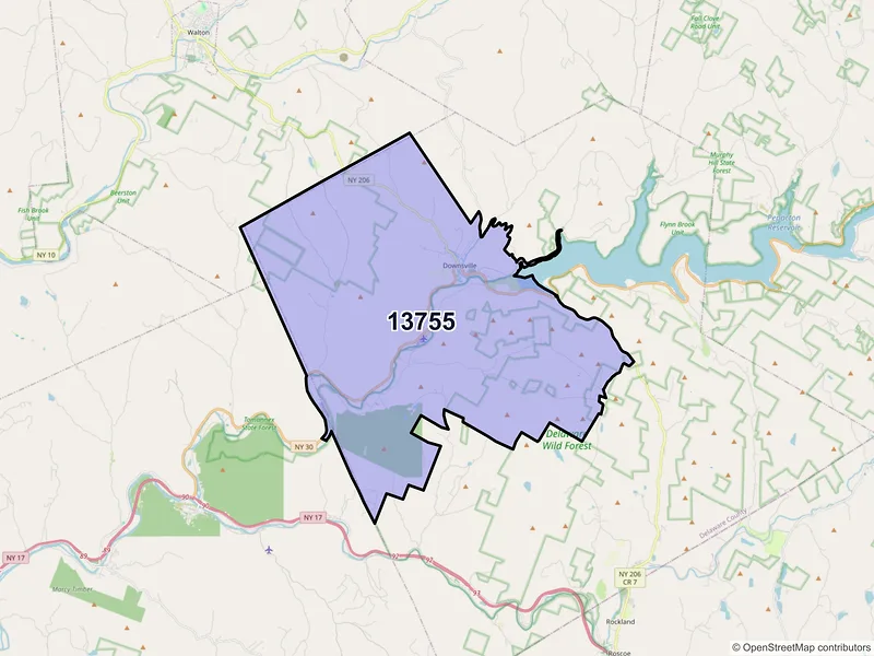 Map of Downsville, New York and ZIP codes
