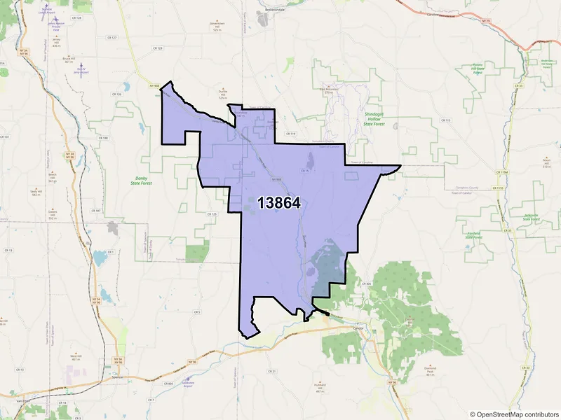 Map of Willseyville, New York and ZIP codes