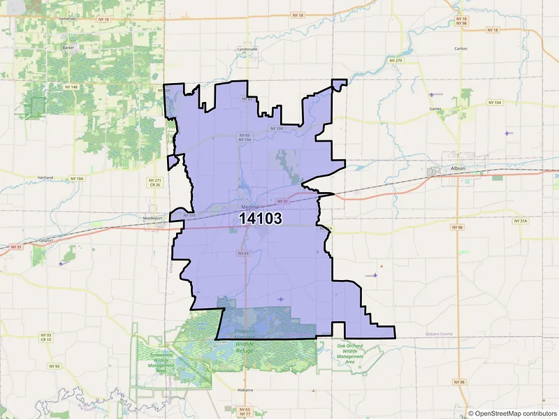 Map of Medina, New York and ZIP codes