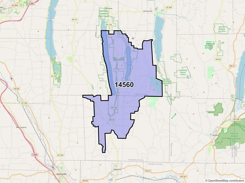 Map of ZIP Code 14560 — Springwater, NY