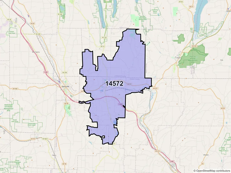 Map of Wayland, New York and ZIP codes