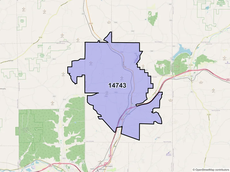 Map of Hinsdale, New York and ZIP codes