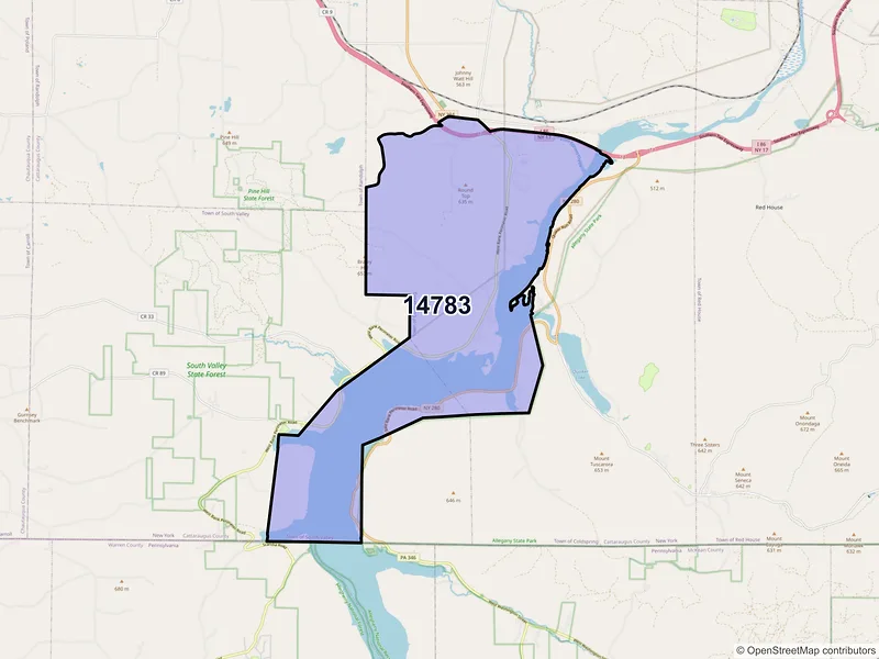 Map of Steamburg, New York and ZIP codes