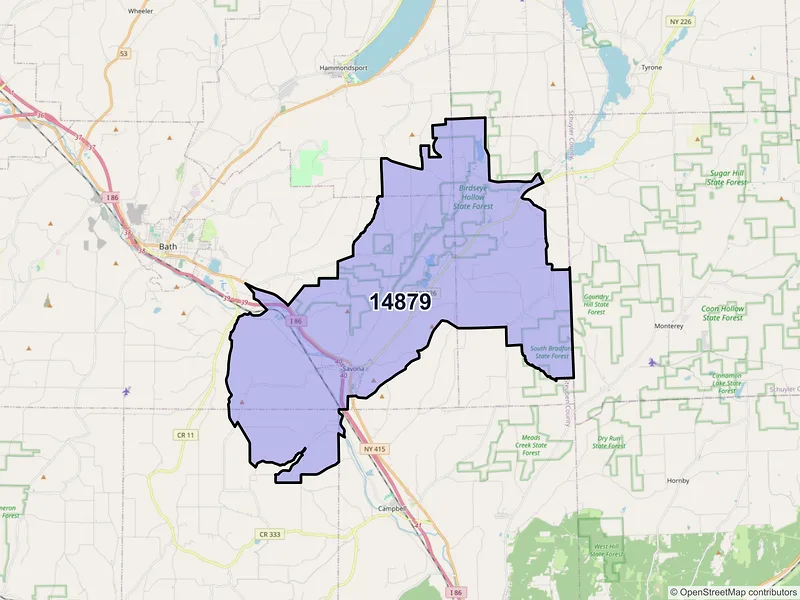 Map of ZIP Code 14879 — Savona, NY
