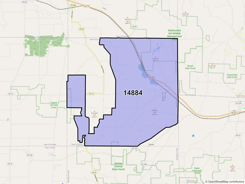 Map of Swain, New York and ZIP codes