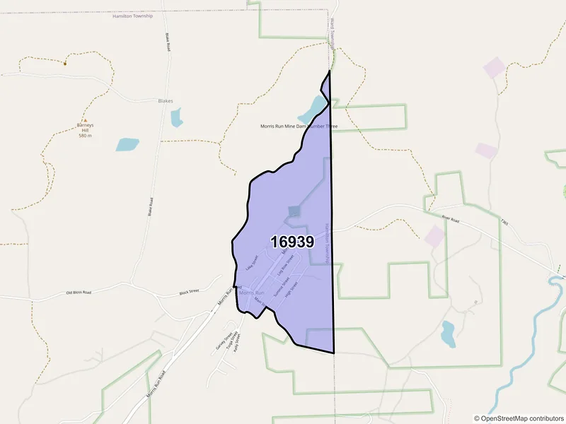 Map of Morris Run, Pennsylvania and ZIP codes
