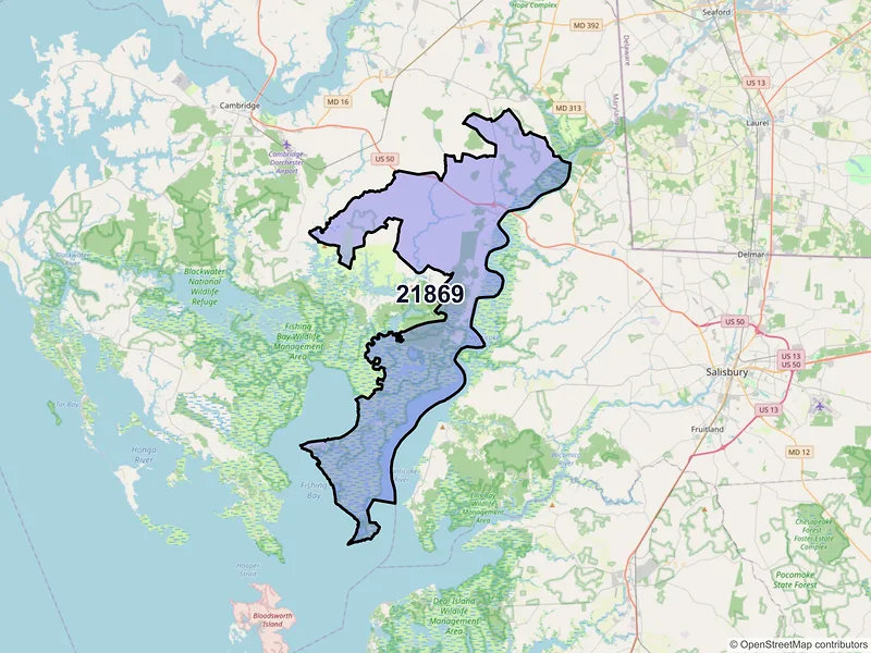 Map of Vienna, Maryland and ZIP codes