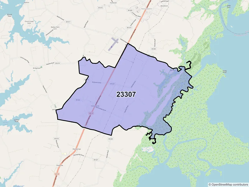 Map of Birdsnest, Virginia and ZIP codes