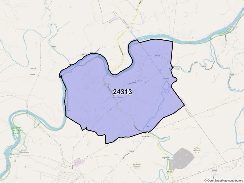 Map of ZIP Code 24313 — Barren Springs, VA