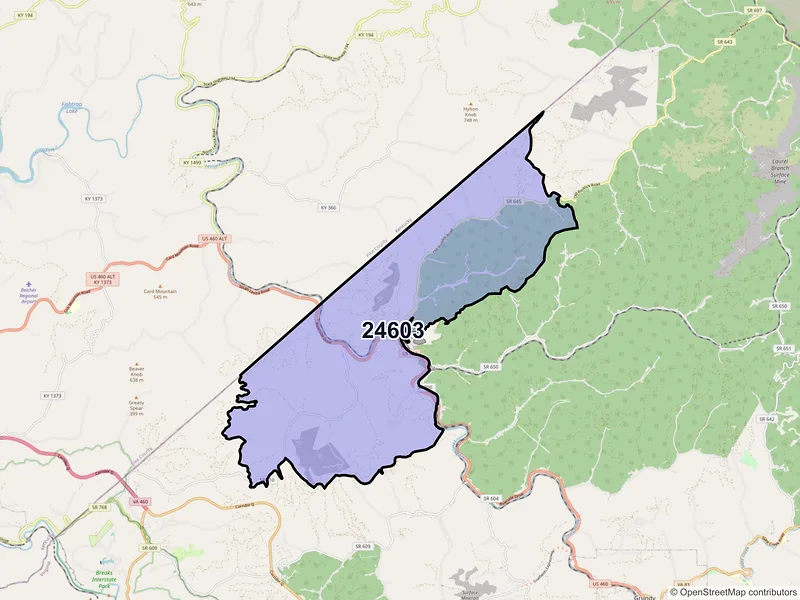 Map of ZIP Code 24603 — Big Rock, VA